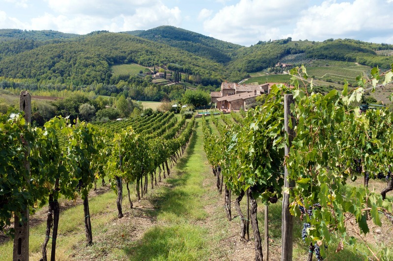 wine chianti